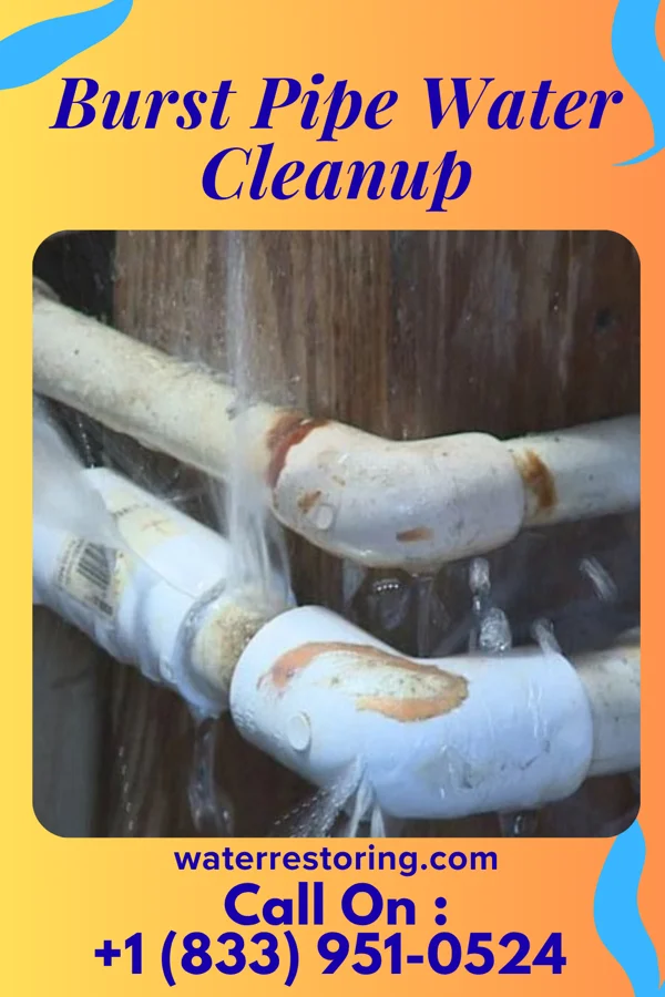 Burst Pipe Water Cleanup in Beaver Creek, MD