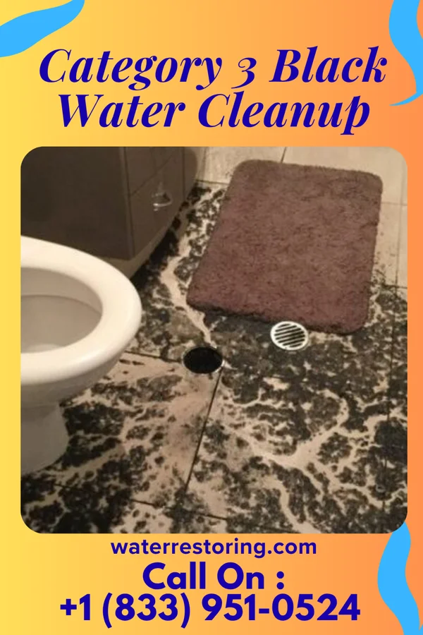 Category 3 Black Water Cleanup in Beaver Creek, MD