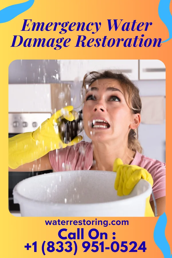 Emergency Water Damage Restoration in Beaver Creek, MD