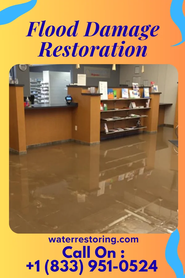 Flood Damage Restoration in Beaver Creek, MD