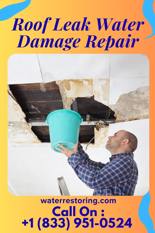 Roof Leak Water Damage Repair in Beaver Creek, MD