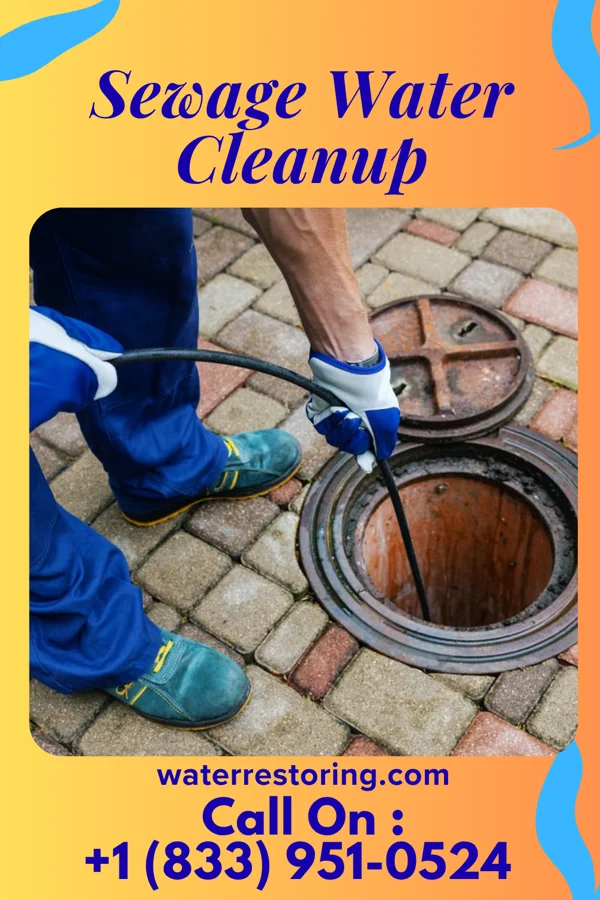 Sewage Water Cleanup in Beaver Creek, MD